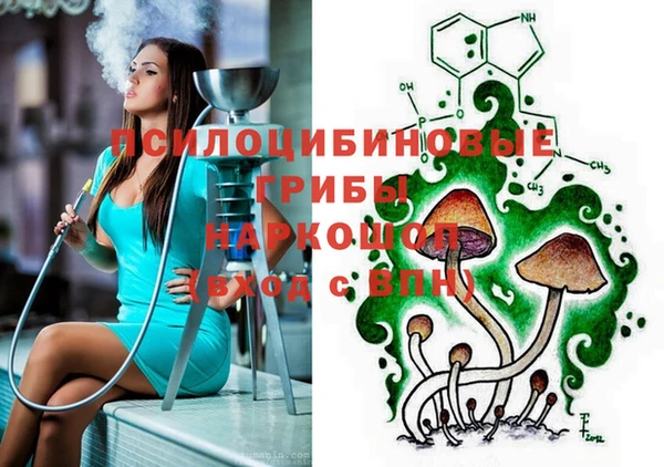 ешки Абинск