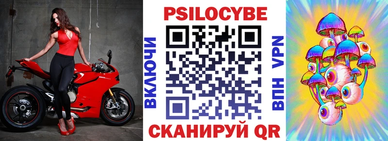 Псилоцибиновые грибы прущие грибы Сосновый Бор